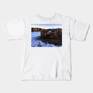 Scottish Highland Cattle Cow and Calf 1642 Kids T-Shirt